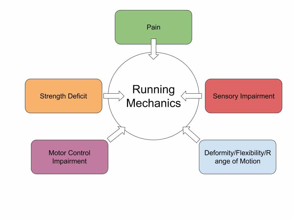 Running Mechanics for Physical Therapy