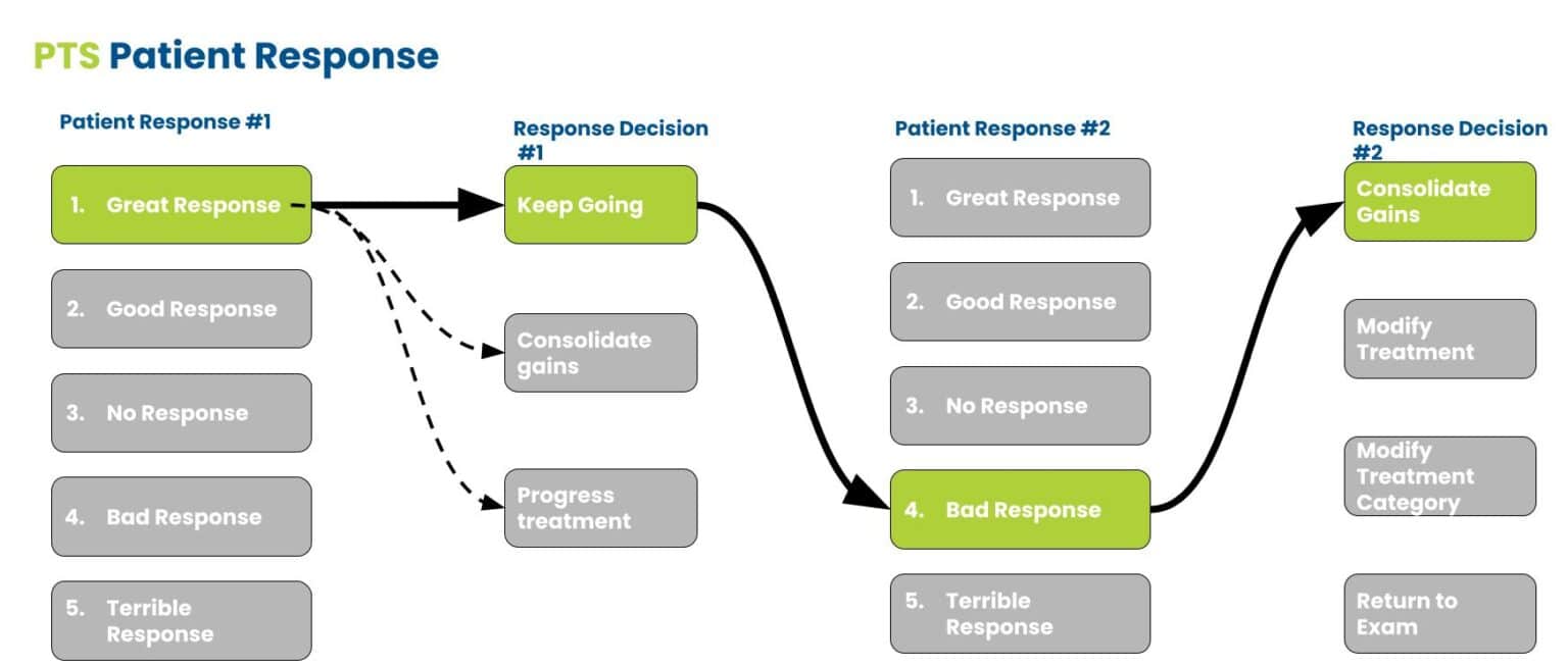 The 5 Patient Responses That Should Impact Your Physical Therapist's ...