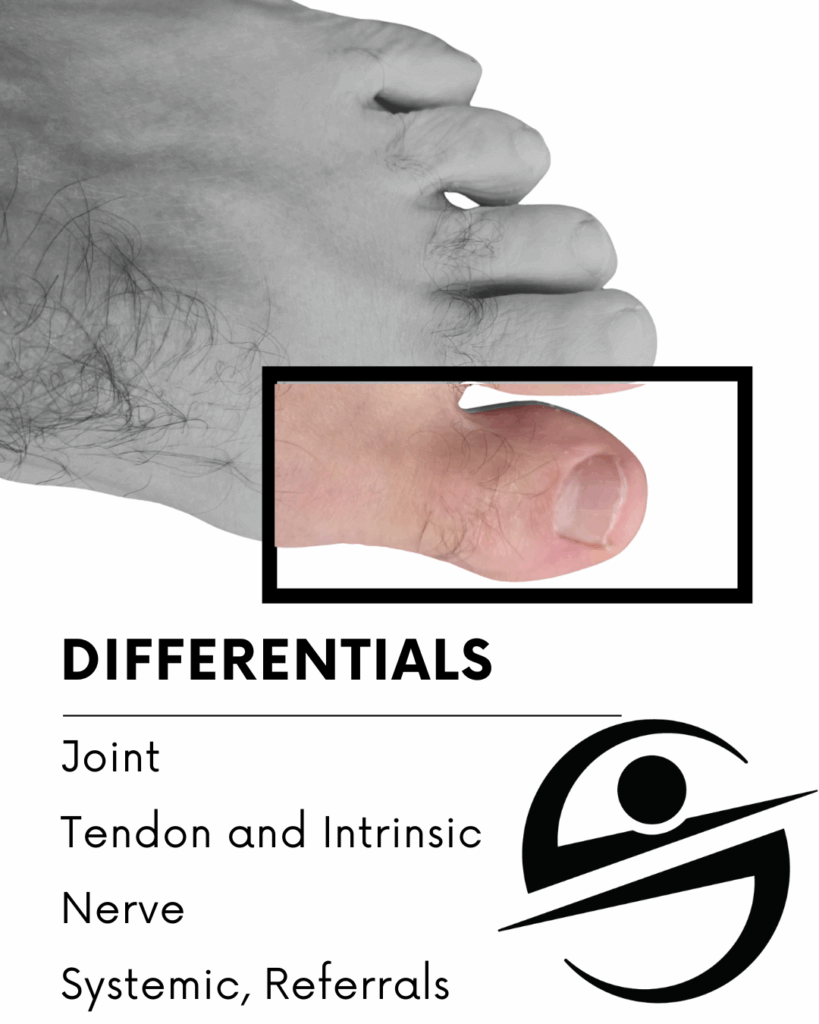 Close-up of a foot highlighting the big toe with a labeled list of differentials: joint, tendon and intrinsic, nerve, and systemic or referrals — representing possible causes of big toe pain.