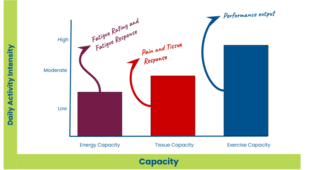 Bar chart comparing energy capacity, tissue capacity, and exercise capacity showing how low energy capacity contributes to fatigue before performance declines