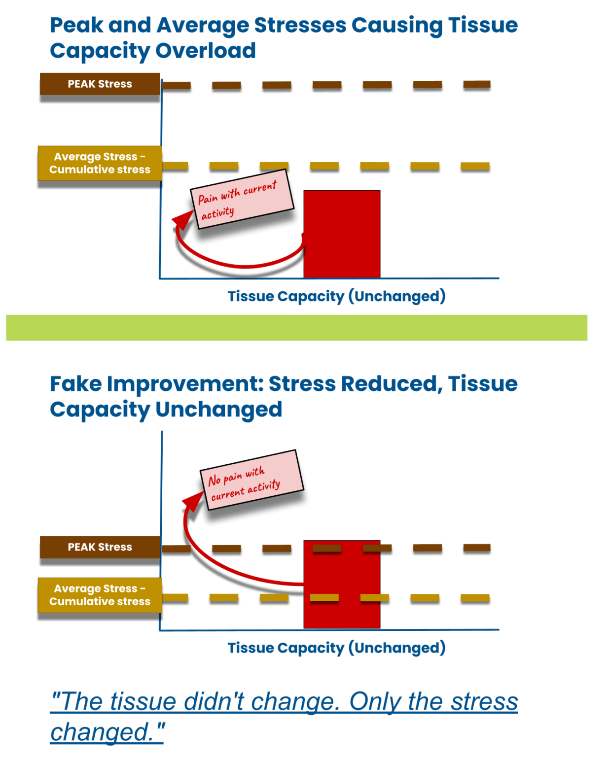 Shin Pain From Running: Why Stress Fractures and Shin Splints Keep ...