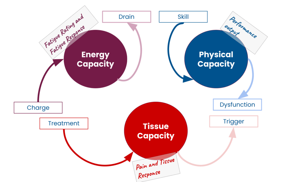 diagram showing physical tissue and energy capacity model for running injuries